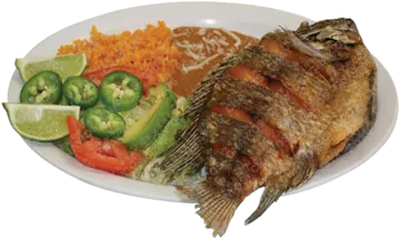 Mojarra